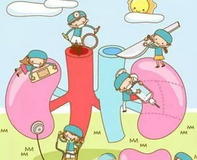 肝火旺肾虚怎么办(肝火旺肾虚是什么原因引起的),第3张 肝火旺肾虚怎么办(肝火旺肾虚是什么原因引起的),肝火旺肾虚怎么办(肝火旺肾虚是什么原因引起的),第3张