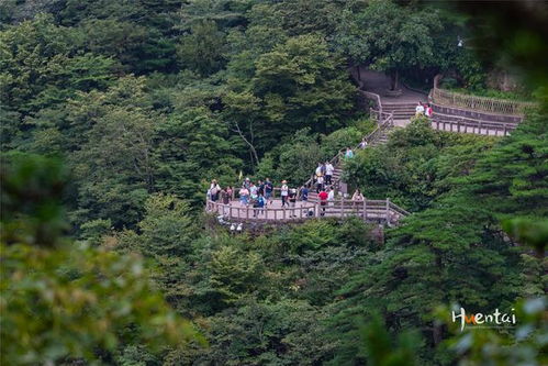 黄山风景区内住宿（黄山风景区内住宿多少钱）,黄山风景区内住宿（黄山风景区内住宿多少钱）,第1张