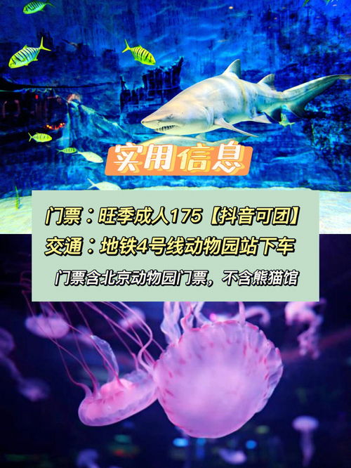 大连圣亚海洋世界一日游攻略(为啥说尽量别带孩子去海洋馆),第3张 大连圣亚海洋世界一日游攻略(为啥说尽量别带孩子去海洋馆),大连圣亚海洋世界一日游攻略(为啥说尽量别带孩子去海洋馆),第3张