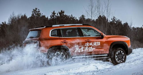 哈弗大狗汽车新款2020款(哈弗大狗汽车新款2020款报价),第2张 哈弗大狗汽车新款2020款(哈弗大狗汽车新款2020款报价),哈弗大狗汽车新款2020款(哈弗大狗汽车新款2020款报价),第2张