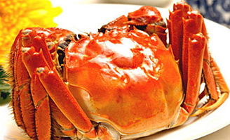 大闸蟹做法教程最简单(大闸蟹做法最正宗的做法),第3张 大闸蟹做法教程最简单(大闸蟹做法最正宗的做法),大闸蟹做法教程最简单(大闸蟹做法最正宗的做法),第3张