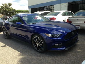 福特眼镜蛇报价的简单介绍,第2张 福特眼镜蛇报价的简单介绍,福特眼镜蛇报价的简单介绍,第2张