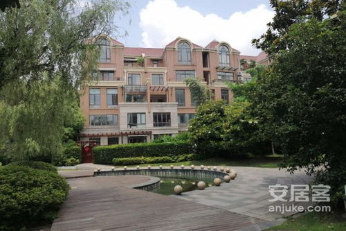 新云(新云台中学),第3张 新云(新云台中学),新云(新云台中学),第3张