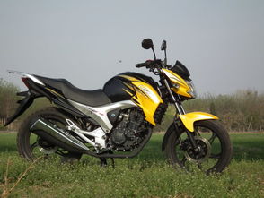 力帆kp150(力帆kp150摩托车),第1张 力帆kp150(力帆kp150摩托车),力帆kp150(力帆kp150摩托车),第1张