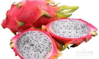 孕妇能吃火龙果吗（孕妇能吃火龙果吗晚期）,孕妇能吃火龙果吗（孕妇能吃火龙果吗晚期）,第1张