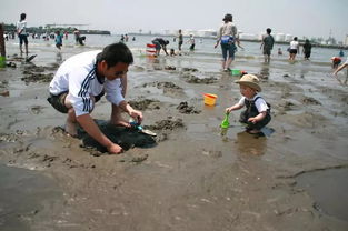鲅鱼圈潮汐表(鲅鱼圈潮汐表赶海时间),第2张 鲅鱼圈潮汐表(鲅鱼圈潮汐表赶海时间),鲅鱼圈潮汐表(鲅鱼圈潮汐表赶海时间),第2张