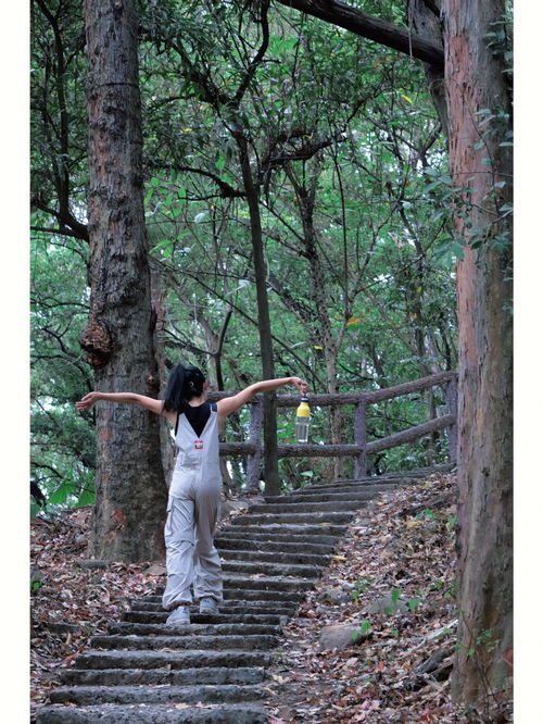 树林中的糕点店(树林的零食),第1张 树林中的糕点店(树林的零食),树林中的糕点店(树林的零食),第1张