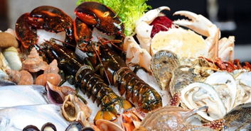 水箱安装（水箱安装视频教程）,水箱安装（水箱安装视频教程）,第1张