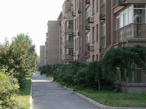 宝马x6内饰图片(宝马x6内饰图片高清),第1张 宝马x6内饰图片(宝马x6内饰图片高清),宝马x6内饰图片(宝马x6内饰图片高清),第1张