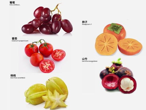 沃尔沃xc60论坛(沃尔沃XC60论坛操作使用),第1张 沃尔沃xc60论坛(沃尔沃XC60论坛操作使用),沃尔沃xc60论坛(沃尔沃XC60论坛操作使用),第1张