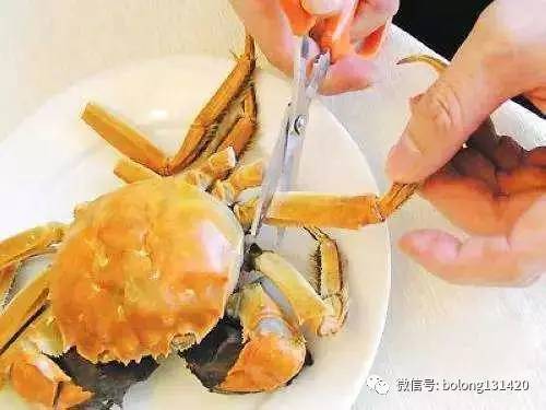 上海办公室复原:华帝抽油烟机E805AZ使用体验分享,第1张 上海办公室复原:华帝抽油烟机E805AZ使用体验分享,上海办公室复原:华帝抽油烟机E805AZ使用体验分享,第1张