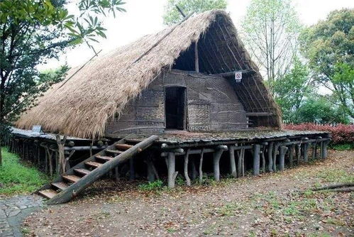 河姆渡人和半坡人（河姆渡人和半坡人哪个更早）,河姆渡人和半坡人（河姆渡人和半坡人哪个更早）,第3张