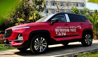 板房材料(板房材料清单),第3张 板房材料(板房材料清单),板房材料(板房材料清单),第3张