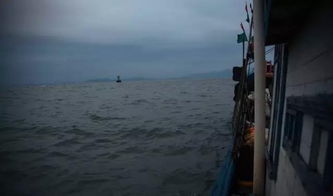 淇澳岛自驾游旅游攻略(淇澳岛自驾一日游游攻略),第2张 淇澳岛自驾游旅游攻略(淇澳岛自驾一日游游攻略),淇澳岛自驾游旅游攻略(淇澳岛自驾一日游游攻略),第2张