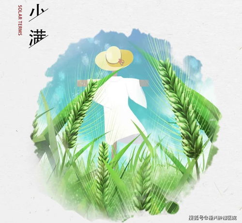 小满是什么意思(农历小满是什么意思),第3张 小满是什么意思(农历小满是什么意思),小满是什么意思(农历小满是什么意思),第3张