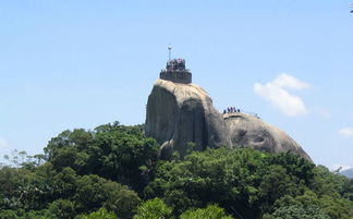 花冠召回(花冠故障率高吗),第2张 花冠召回(花冠故障率高吗),花冠召回(花冠故障率高吗),第2张