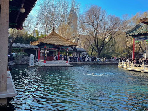 家常水煮鱼的做法和步骤（家常水煮鱼的做法和步骤图片）,家常水煮鱼的做法和步骤（家常水煮鱼的做法和步骤图片）,第1张