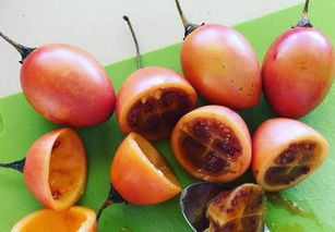 装潢:如何使电梯环境更加卫生,第1张 装潢:如何使电梯环境更加卫生,装潢:如何使电梯环境更加卫生,第1张