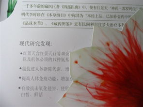 途观的发动机怎么样(途观发动机好不好),第3张 途观的发动机怎么样(途观发动机好不好),途观的发动机怎么样(途观发动机好不好),第3张