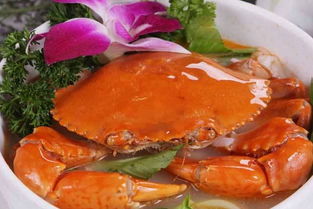 青蟹有几种做法（青蟹有几种做法图片）,青蟹有几种做法（青蟹有几种做法图片）,第2张