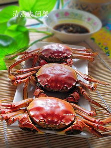 清蒸大闸蟹是什么地方的菜(清蒸大闸蟹是什么菜系),第1张 清蒸大闸蟹是什么地方的菜(清蒸大闸蟹是什么菜系),清蒸大闸蟹是什么地方的菜(清蒸大闸蟹是什么菜系),第1张