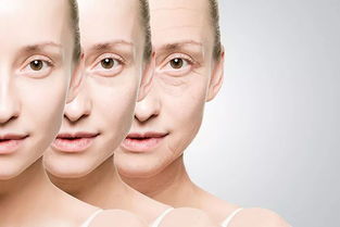 办公室装修公司:探寻水晶钻的历史背景与制作过程,第2张 办公室装修公司:探寻水晶钻的历史背景与制作过程,办公室装修公司:探寻水晶钻的历史背景与制作过程,第2张