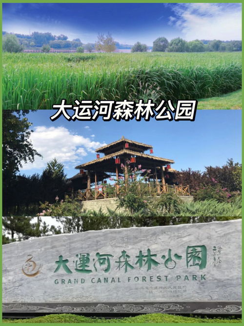 鸡胗怎么炒才好吃（鸡胗怎么炒好吃 家常）,鸡胗怎么炒才好吃（鸡胗怎么炒好吃 家常）,第3张