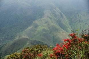 弹起式地面插座(弹起式地面插座安装视频),第1张 弹起式地面插座(弹起式地面插座安装视频),弹起式地面插座(弹起式地面插座安装视频),第1张