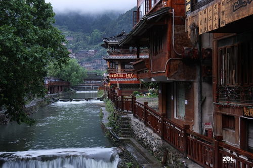 三种人不能吃茯苓(三种人不能吃茯苓泡水),第1张 三种人不能吃茯苓(三种人不能吃茯苓泡水),三种人不能吃茯苓(三种人不能吃茯苓泡水),第1张