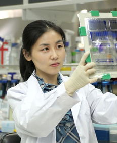 留学生怎么回国读研究生(留学生回国读研究生好考吗),第3张 留学生怎么回国读研究生(留学生回国读研究生好考吗),留学生怎么回国读研究生(留学生回国读研究生好考吗),第3张