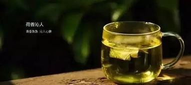 荷叶茶的功效与作用(荷叶茶的功效与作用禁忌与副作用有哪些),第1张 荷叶茶的功效与作用(荷叶茶的功效与作用禁忌与副作用有哪些),荷叶茶的功效与作用(荷叶茶的功效与作用禁忌与副作用有哪些),第1张