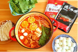 火锅做法(火锅做法视频教程全集),第2张 火锅做法(火锅做法视频教程全集),火锅做法(火锅做法视频教程全集),第2张