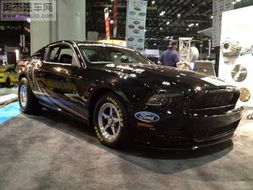 野马眼镜蛇的简单介绍,野马眼镜蛇的简单介绍,第3张