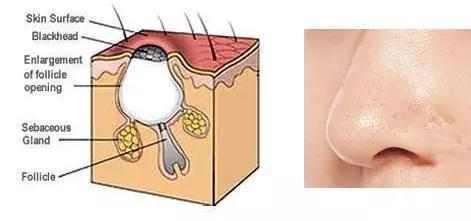 上海办公楼装修公司:如何选择性价比高的杨木胶合板?,第1张 上海办公楼装修公司:如何选择性价比高的杨木胶合板?,上海办公楼装修公司:如何选择性价比高的杨木胶合板?,第1张