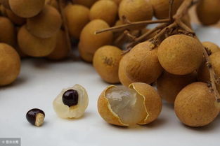 龙眼和桂圆的区别(龙眼和桂圆的区别龙眼的功效与作用),第3张 龙眼和桂圆的区别(龙眼和桂圆的区别龙眼的功效与作用),龙眼和桂圆的区别(龙眼和桂圆的区别龙眼的功效与作用),第3张