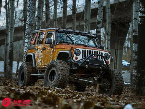 战旗改装(战旗改装案例),第3张 战旗改装(战旗改装案例),战旗改装(战旗改装案例),第3张