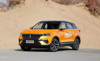 公安基础知识真题(公安基础知识真题题型),第3张 公安基础知识真题(公安基础知识真题题型),公安基础知识真题(公安基础知识真题题型),第3张