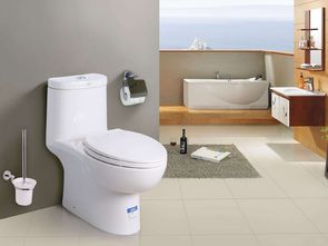 抽水马桶安装图(抽水马桶安装图解盖),第1张 抽水马桶安装图(抽水马桶安装图解盖),抽水马桶安装图(抽水马桶安装图解盖),第1张