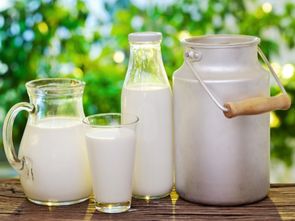 牛奶的英文（两杯牛奶的英文）,牛奶的英文（两杯牛奶的英文）,第1张