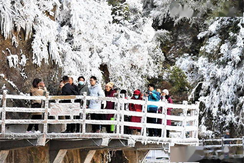 盘锦周边自助游(宜章县周边自助游),第2张 盘锦周边自助游(宜章县周边自助游),盘锦周边自助游(宜章县周边自助游),第2张