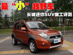 马齿笕的作用（马齿笕的作用与功效有哪些）,马齿笕的作用（马齿笕的作用与功效有哪些）,第3张