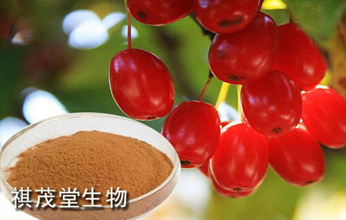 瓜蒌皮的功效与作用(瓜蒌皮的功效与作用及主治与用量),第1张 瓜蒌皮的功效与作用(瓜蒌皮的功效与作用及主治与用量),瓜蒌皮的功效与作用(瓜蒌皮的功效与作用及主治与用量),第1张