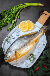 办公室装饰公司:探秘工程起重机械的千斤顶,第2张 办公室装饰公司:探秘工程起重机械的千斤顶,办公室装饰公司:探秘工程起重机械的千斤顶,第2张