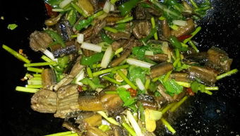鳝鱼的做法大全川菜(鳝鱼的做法大全川菜视频),第3张 鳝鱼的做法大全川菜(鳝鱼的做法大全川菜视频),鳝鱼的做法大全川菜(鳝鱼的做法大全川菜视频),第3张