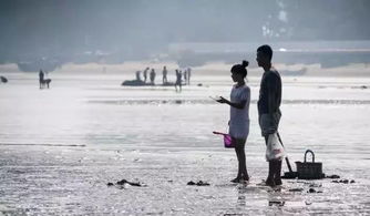 鲅鱼圈潮汐表(鲅鱼圈潮汐表赶海时间),第1张 鲅鱼圈潮汐表(鲅鱼圈潮汐表赶海时间),鲅鱼圈潮汐表(鲅鱼圈潮汐表赶海时间),第1张
