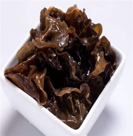 木耳(木耳的功效与作用),第1张 木耳(木耳的功效与作用),木耳(木耳的功效与作用),第1张