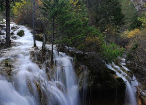 四川九寨沟海拔多少米(四川九寨沟海拔多少米高),第3张 四川九寨沟海拔多少米(四川九寨沟海拔多少米高),四川九寨沟海拔多少米(四川九寨沟海拔多少米高),第3张