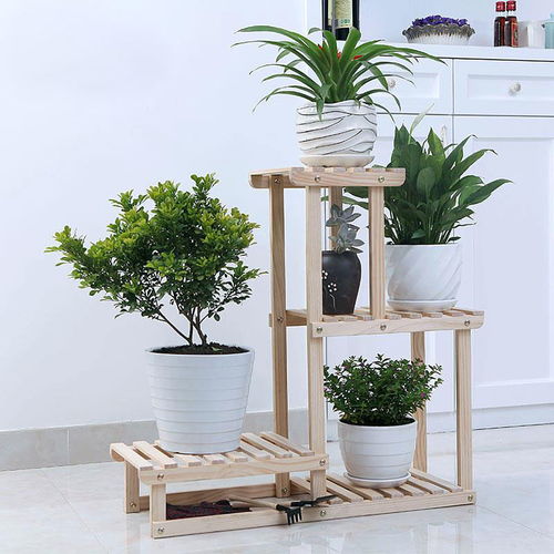 家庭用花架（家庭用花架子）,家庭用花架（家庭用花架子）,第2张