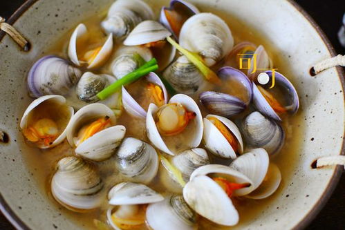 海鲜蛤蜊汤的简单介绍,海鲜蛤蜊汤的简单介绍,第1张