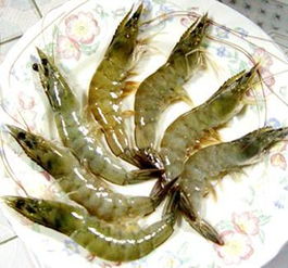 南美白对虾（南美白对虾养殖技术）,南美白对虾（南美白对虾养殖技术）,第3张